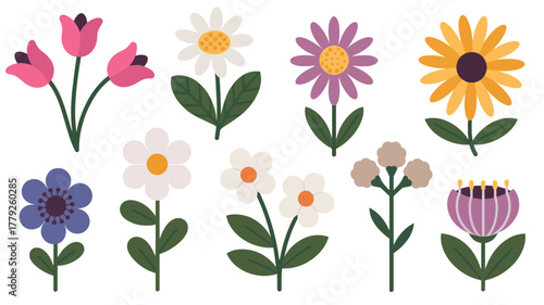 Various flower collection for spring decoration