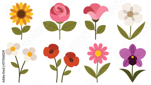 Assorted flower collection for botanical designs