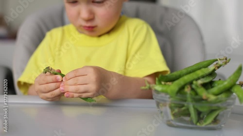 A child opens a pod of sweet green peas. 4K