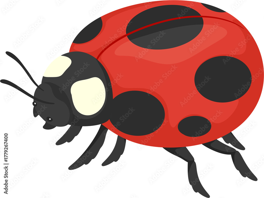 Obraz premium illustration ladybug