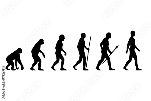 Human Evolution Line