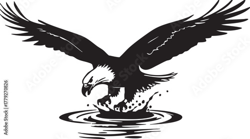 Bald eagle swooping down to catch prey in water isolated on transparent background