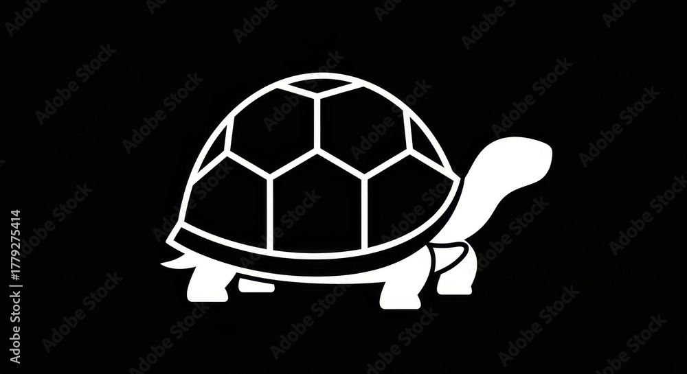 Obraz premium White stylized turtle silhouette on a black background