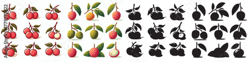 Set of vector and shilhouttes images of lychee fruit on a white background