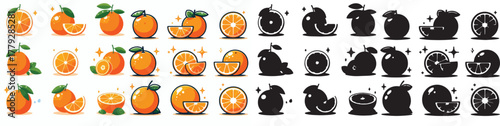 Set of vector and shilhouttes images of citrus fruits on a white background