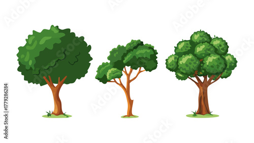 Trio of Verdant Trees: A set of three stylized trees, each showcasing distinct forms and lush green foliage, embody the essence of nature's varied elegance. 