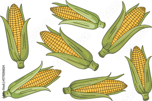 Hand-Drawn Sweet Corn Cobs Scattered Vector Collection