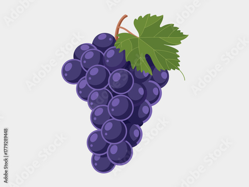 A cluster of rich, purple grapes hangs on a vine leaf, showcasing their round shape and glossy texture, inviting viewers to appreciate their natural beauty and juiciness.