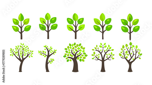Tree Illustrations Collection: A collection of various tree illustrations showcase diverse designs, with fresh green leaves and sturdy brown trunks.
