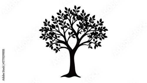 Solitary Tree Silhouette: A stark black silhouette of a majestic tree stands in stark contrast. Its branches, adorned with delicate leaves, reach towards the sky.