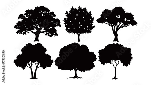Tree silhouettes: A collection of various trees, captured in dark silhouettes, is set against a simple backdrop. A symbol of nature's beauty and diversity.