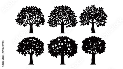 Silhouette Trees: A collection of captivating silhouette trees with intricate detailing, showcasing the beauty of nature's timeless designs.