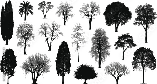Collection of various tree silhouettes