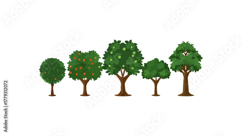 Variety of Trees: A collection of various tree types, each with its unique shape, size, and foliage, create a diverse forest. A vibrant display of nature's artistry.