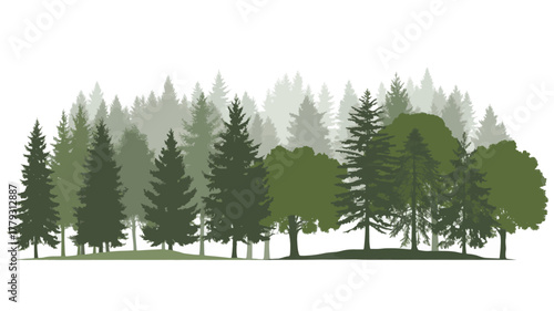 Silhouette of a dense forest with various evergreen trees