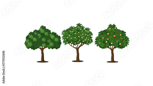 Trio of Thriving Trees: Three vibrant trees stand tall, showcasing their lush green foliage and offering a snapshot of nature's beauty and diversity.