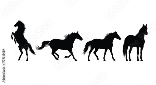 Silhouette of four horses in different poses isolated on white background