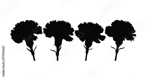 Four carnations isolated on white background in silhouette style illustration