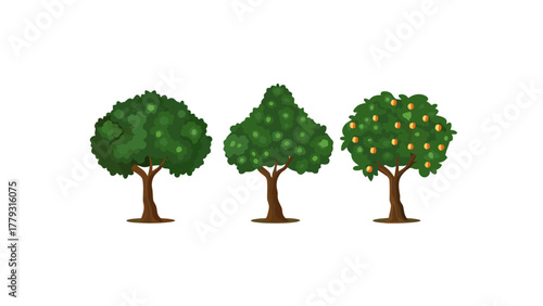 Tree Trio: A trio of stylized trees stands in serene harmony, their unique forms showcasing the diverse beauty of nature's arboreal wonders. 