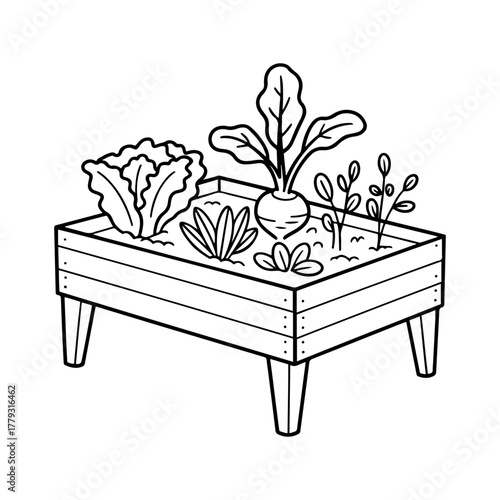 raised garden bed vegetable illustration
