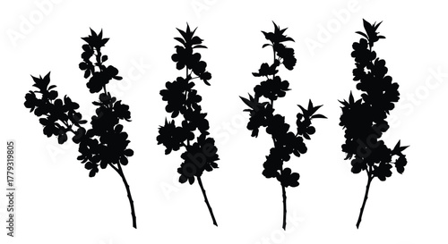Four flowering branches in silhouette isolated on white background