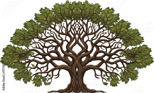 Symmetrical tree with twisting branches cartoon illustration, symbolic balance and expressive nature growth artwork for design and education