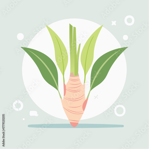 Vector illustration of a ginger root with green leaves emerging from a light pink bulb on a pale blue background with white circles and crosses