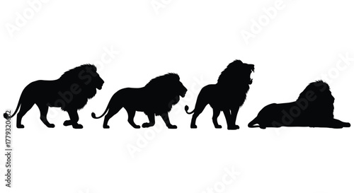 Four lion silhouettes isolated on white background in different positions