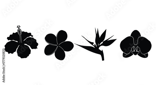 Four black flowers isolated on white background are in a row