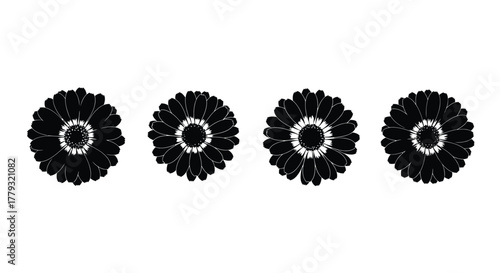 Four black flower heads isolated on white background