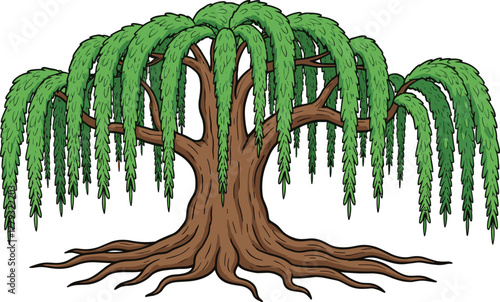 Willow tree with drooping leaves cartoon illustration, symbolic tranquility and expressive nature grace artwork for design and storytelling