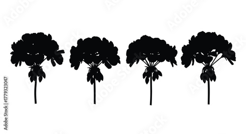 Four geranium silhouettes isolated on white background for design use