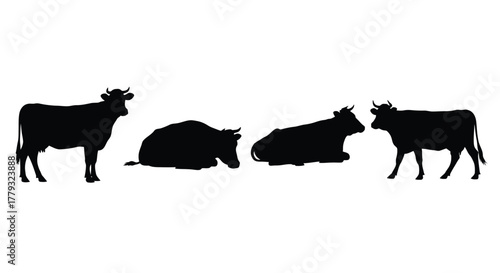 Cow silhouette isolated on white background in various positions and angles
