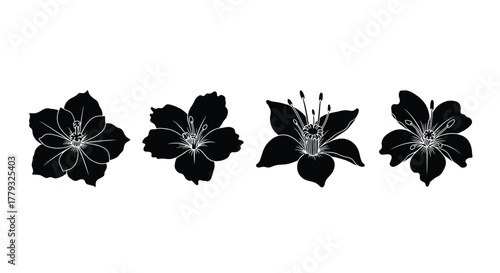 Four flower isolated on white background for decoration or floral arrangement