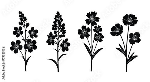 Four wax flower silhouette isolated on white background for design use