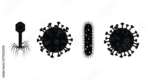 Various virus and bacteria silhouettes isolated on white background are shown