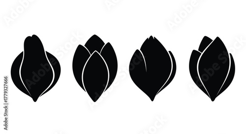 Black flower bud silhouettes isolated on white background for design