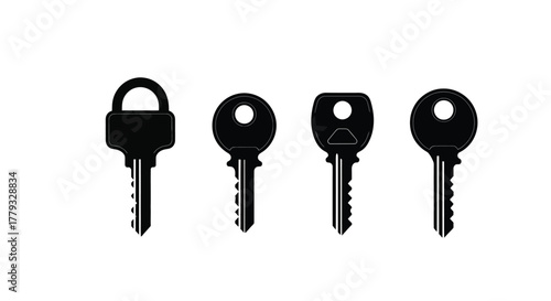 Four black keys isolated on white background, representing security and access
