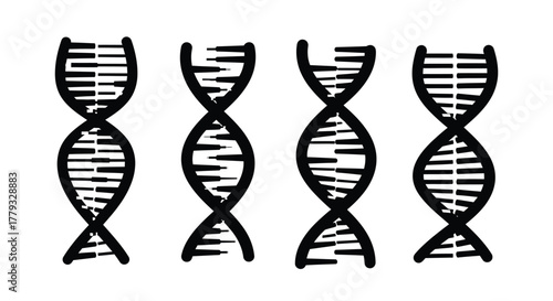 Four dna strands isolated on white background, representing genetics and biology