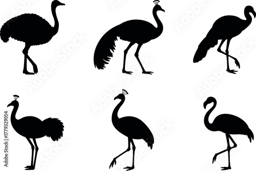 Exotic Tropical Birds Silhouette Pack. Ostrich, Flamingo, Emu, and Wildlife Vector Icon Set.