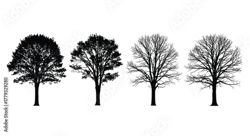 Four trees in different seasons isolated on white background, silhouette style