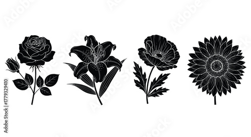 Four black flowers isolated on white background are arranged in a row
