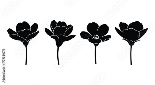 Four elegant flower silhouettes with stems isolated on white background