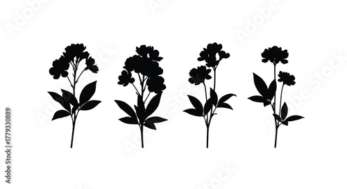 Four flower branches isolated on white background in a simple illustration