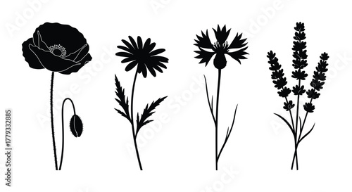 Silhouette of poppy, daisy, cornflower, and lavender isolated on white background