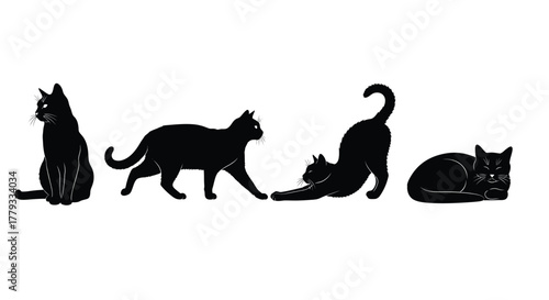 Four cat silhouettes isolated on white background, each in a different position
