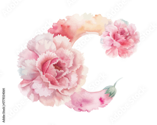 Botanical Alphabet C Watercolor Flower Letter vector illustration