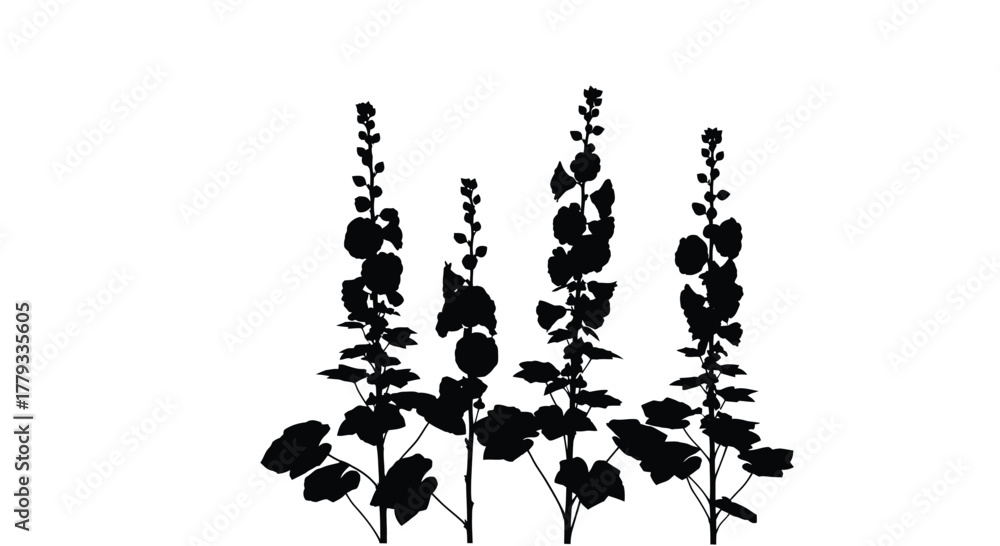 Naklejka premium Silhouette of hollyhocks isolated on white background, creating a striking contrast