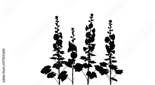 Silhouette of hollyhocks isolated on white background, creating a striking contrast