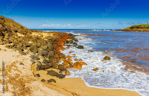 Tableau sur toile Red Waves Caused By Red Dirt on Dixie Maru Beach, Molokai, Hawaii, USA